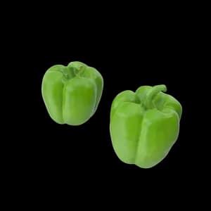 Green Bell Pepper Mini