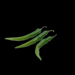 Green Chili Pepper Mini