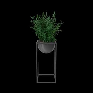 House Showpiece Plant Plus