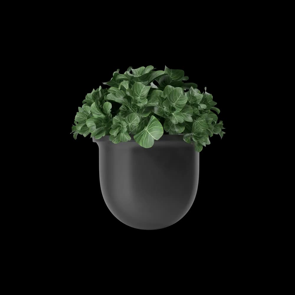 Plant Pot Plus 3