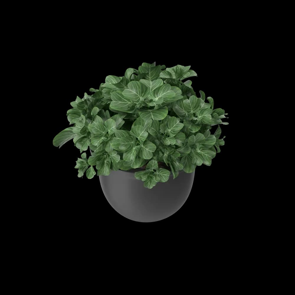 Plant Pot Plus 4