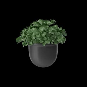 Plant Pot Plus