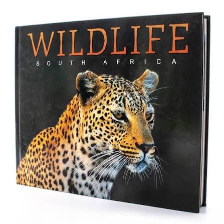 Kenya wildlife book 3