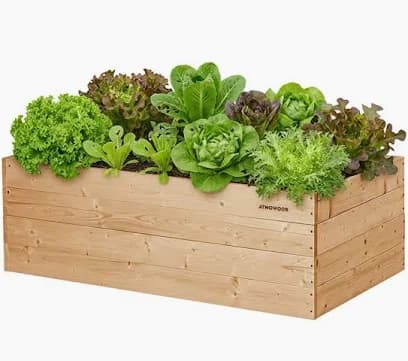 Raised Garden Bed Cedar Wood 120×60cm