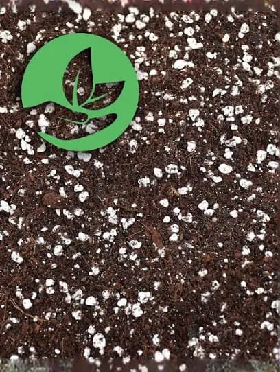 Potting Mix Premium 50L 4